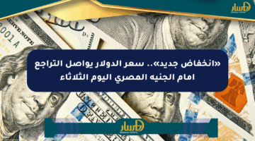 «انخفاض جديد».. سعر الدولار يواصل التراجع أمام الجنيه المصري اليوم الثلاثاء